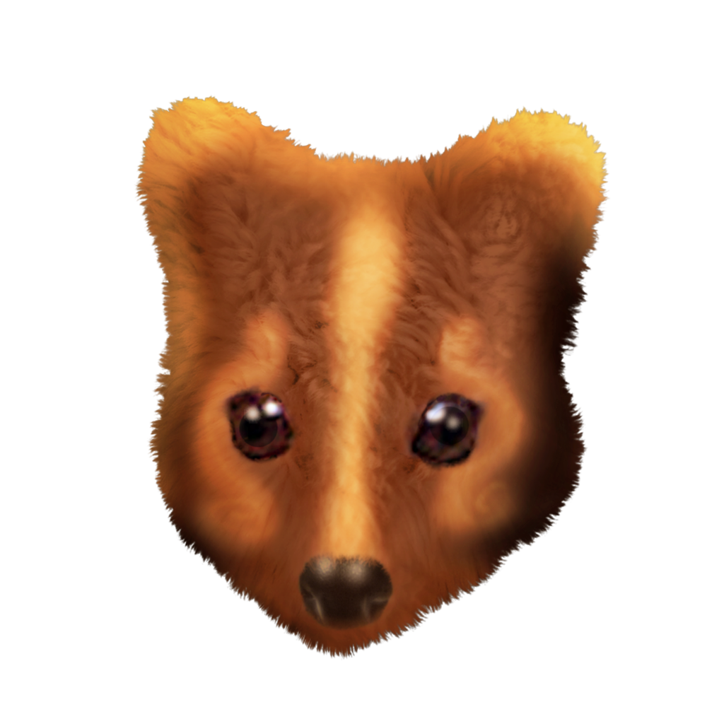 Make a tree kangaroo mask Widodo